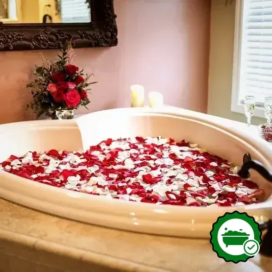 Hotels with jacuzzi in room in Asheville