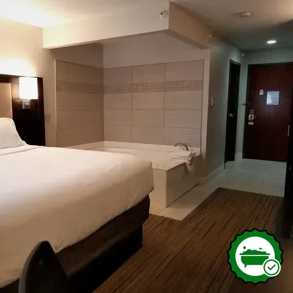 Hotels with jacuzzi in room in Birch Run