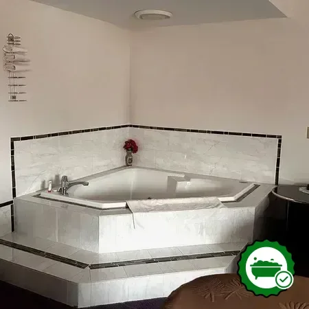 Hotels with jacuzzi in room in Chesaning