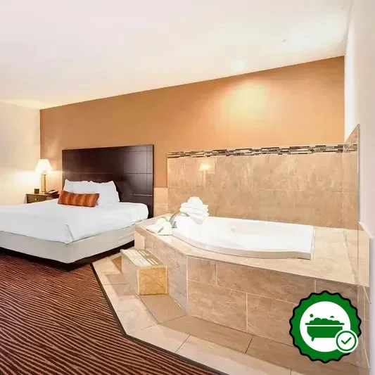 Hotels with jacuzzi in room in Des Plaines