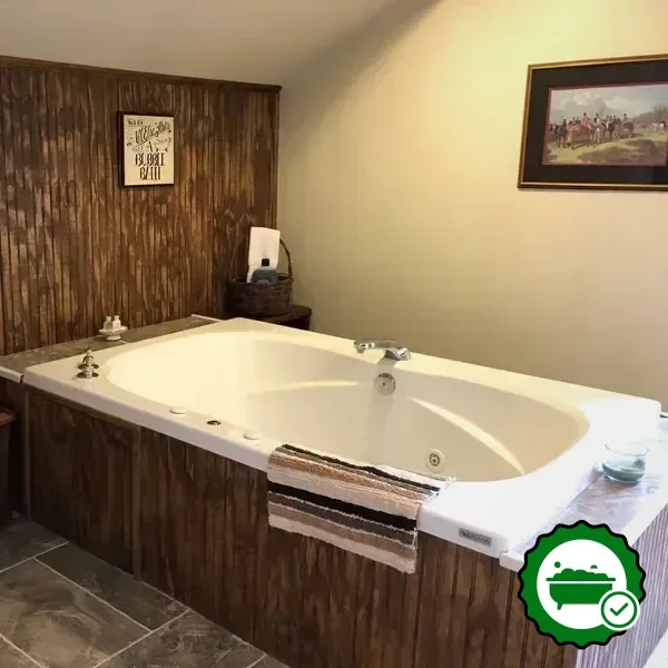 Hotels with jacuzzi in room in Geneseo