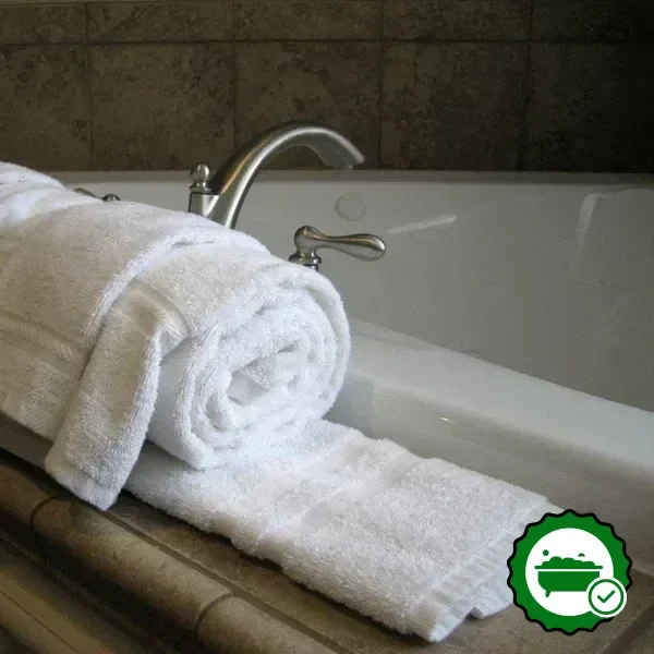 Hotels with jacuzzi in room in Gladwin
