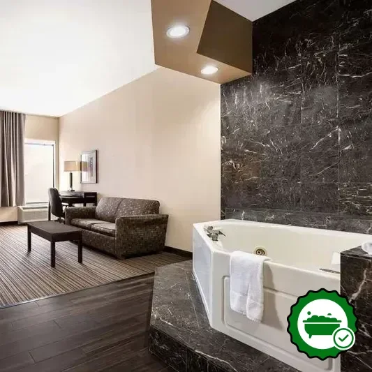 Hotels with jacuzzi in room in Gray