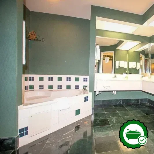 Hotels with jacuzzi in room in Hiawassee