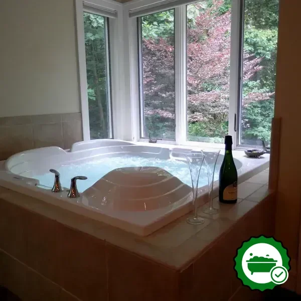 Hotels with jacuzzi in room in Holland