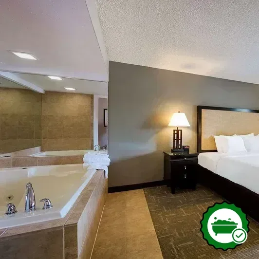 Hotels with jacuzzi in room in Livonia