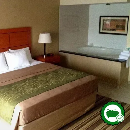 Hotels with jacuzzi in room in Romulus