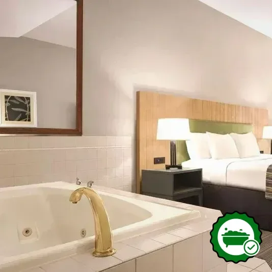 Hotels with jacuzzi in room in Schaumburg