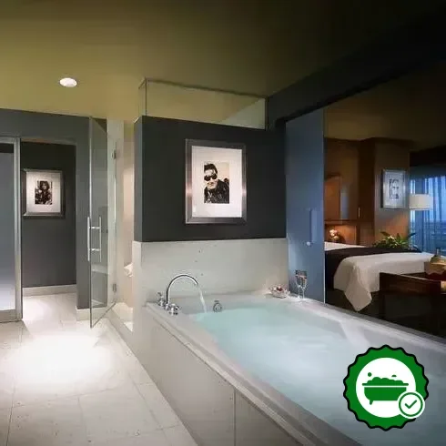 Hotels with jacuzzi in room in Tampa